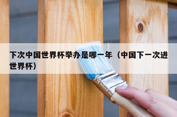 下次中国世界杯举办是哪一年（中国下一次进世界杯） 第1张