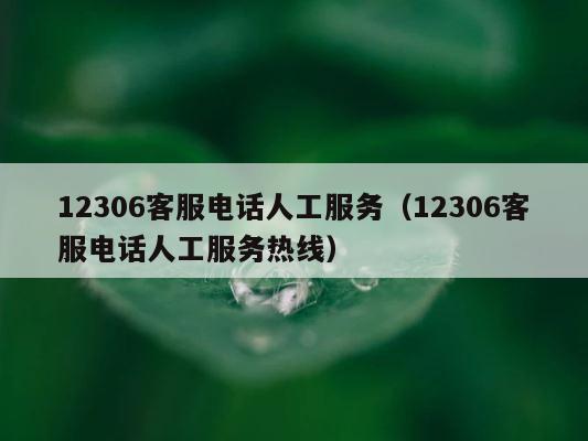 12306客服电话人工服务（12306客服电话人工服务热线） 第1张