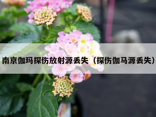 南京伽玛探伤放射源丢失（探伤伽马源丢失） 第1张