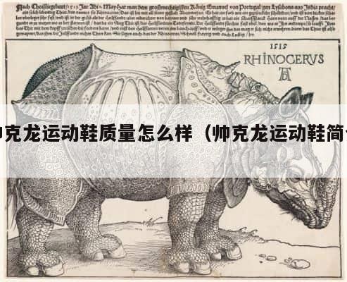 帅克龙运动鞋质量怎么样（帅克龙运动鞋简介） 第1张