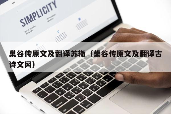 巢谷传原文及翻译苏辙（巢谷传原文及翻译古诗文网） 第1张
