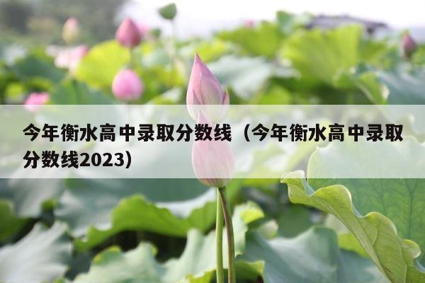 今年衡水高中录取分数线（今年衡水高中录取分数线2023） 第1张
