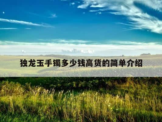 独龙玉手镯多少钱高货的简单介绍 第1张
