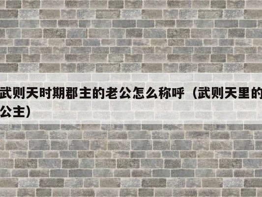 武则天时期郡主的老公怎么称呼（武则天里的公主） 第1张