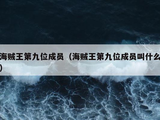 海贼王第九位成员（海贼王第九位成员叫什么） 第1张