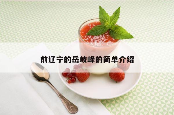 前辽宁的岳岐峰的简单介绍 第1张