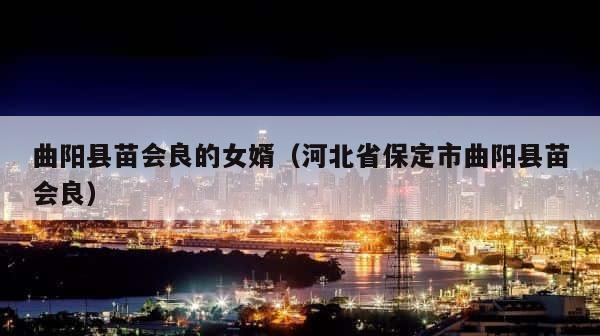 曲阳县苗会良的女婿（河北省保定市曲阳县苗会良） 第1张