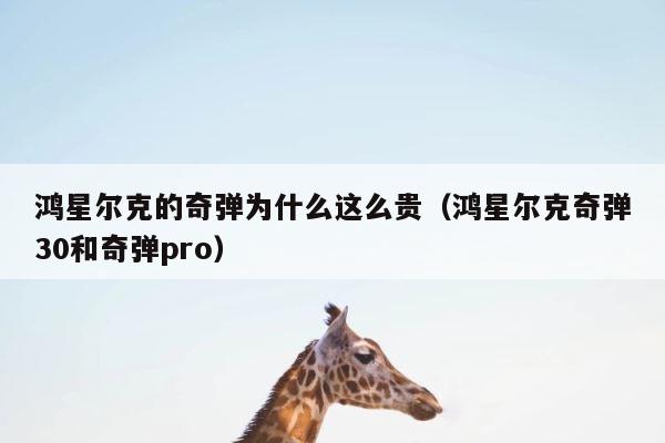 鸿星尔克的奇弹为什么这么贵（鸿星尔克奇弹30和奇弹pro） 第1张