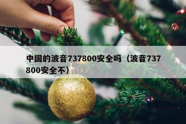 中国的波音737800安全吗（波音737800安全不） 第1张