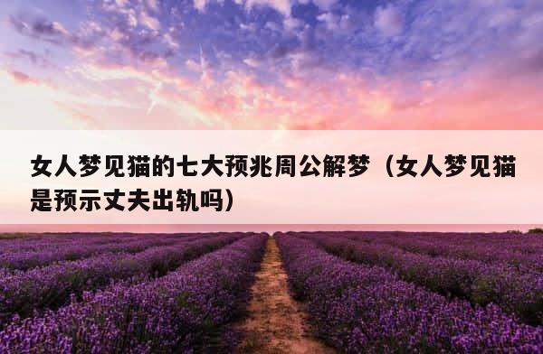 女人梦见猫的七大预兆周公解梦（女人梦见猫是预示丈夫出轨吗） 第1张