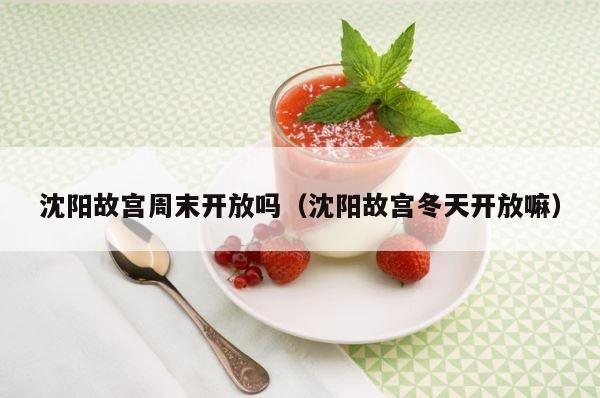 沈阳故宫周末开放吗（沈阳故宫冬天开放嘛） 第1张