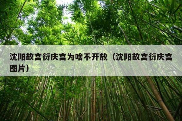 沈阳故宫衍庆宫为啥不开放（沈阳故宫衍庆宫图片） 第1张