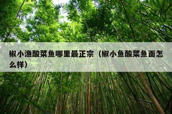 椒小渔酸菜鱼哪里最正宗（椒小鱼酸菜鱼面怎么样） 第1张