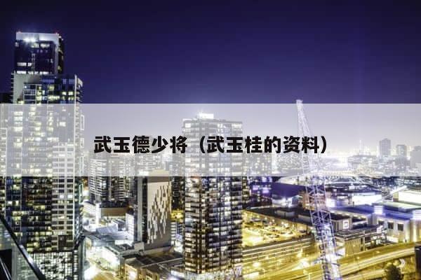 武玉德少将（武玉桂的资料） 第1张