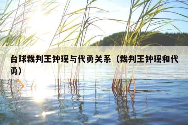 台球裁判王钟瑶与代勇关系（裁判王钟瑶和代勇） 第1张