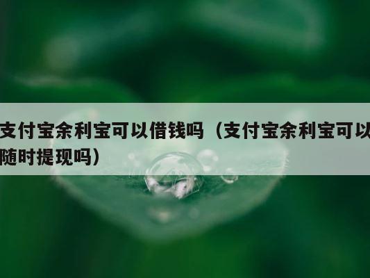 支付宝余利宝可以借钱吗（支付宝余利宝可以随时提现吗） 第1张