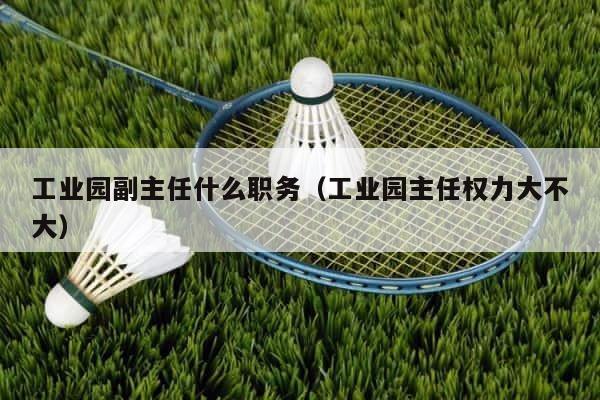 工业园副主任什么职务（工业园主任权力大不大） 第1张