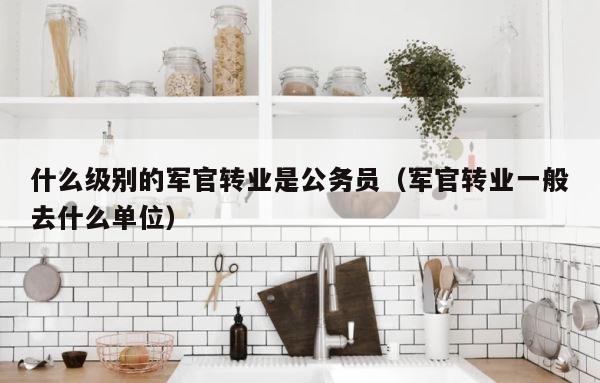 什么级别的军官转业是公务员（军官转业一般去什么单位） 第1张