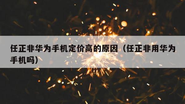 任正非华为手机定价高的原因（任正非用华为手机吗） 第1张