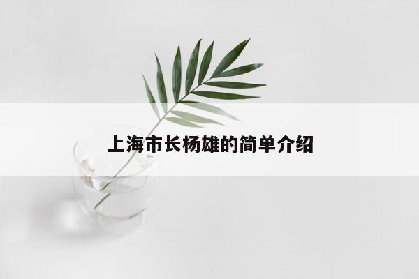 上海市长杨雄的简单介绍 第1张
