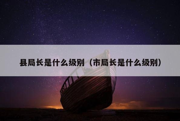 县局长是什么级别（市局长是什么级别） 第1张