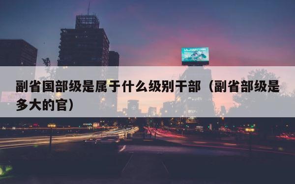 副省国部级是属于什么级别干部（副省部级是多大的官） 第1张