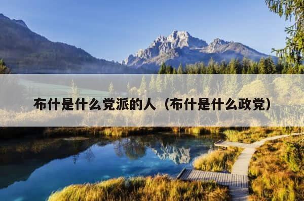 布什是什么党派的人（布什是什么政党） 第1张