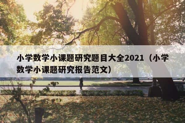 小学数学小课题研究题目大全2021（小学数学小课题研究报告范文） 第1张