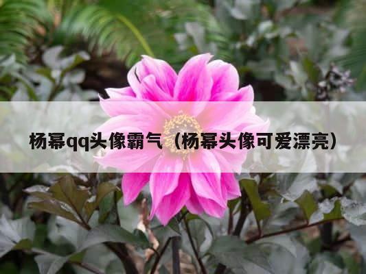 杨幂qq头像霸气（杨幂头像可爱漂亮） 第1张