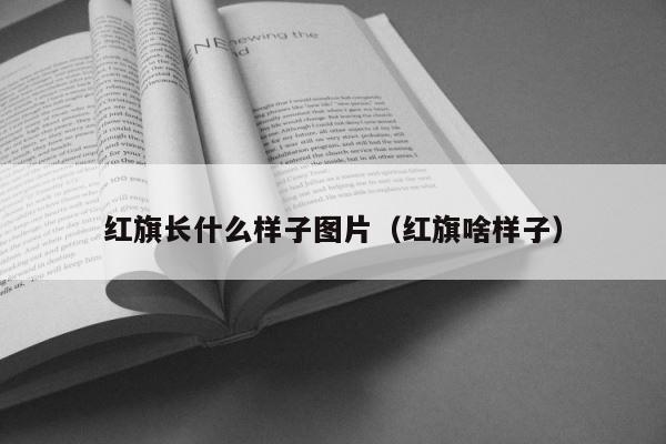 红旗长什么样子图片（红旗啥样子） 第1张
