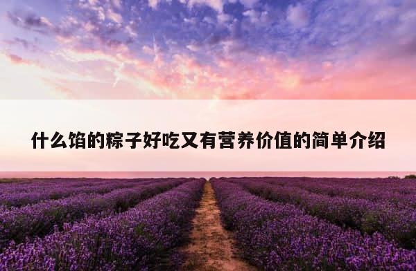 什么馅的粽子好吃又有营养价值的简单介绍 第1张