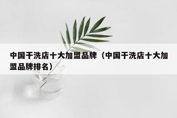 中国干洗店十大加盟品牌（中国干洗店十大加盟品牌排名） 第1张