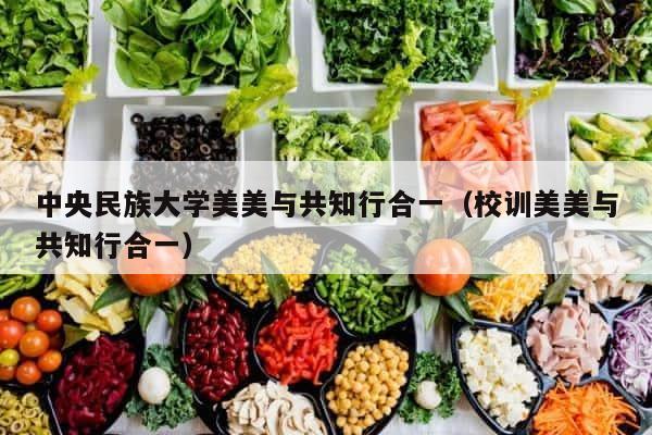 中央民族大学美美与共知行合一（校训美美与共知行合一） 第1张