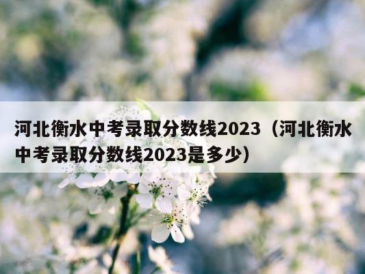 河北衡水中考录取分数线2023（河北衡水中考录取分数线2023是多少） 第1张