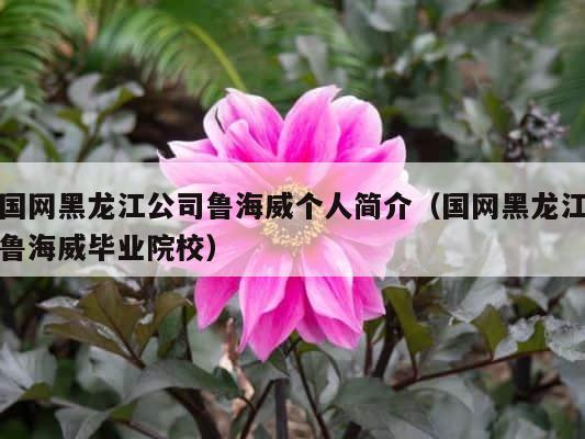 国网黑龙江公司鲁海威个人简介（国网黑龙江鲁海威毕业院校） 第1张