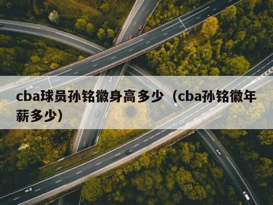 cba球员孙铭徽身高多少（cba孙铭徽年薪多少） 第1张