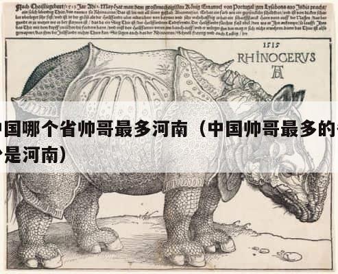 中国哪个省帅哥最多河南（中国帅哥最多的省份是河南） 第1张