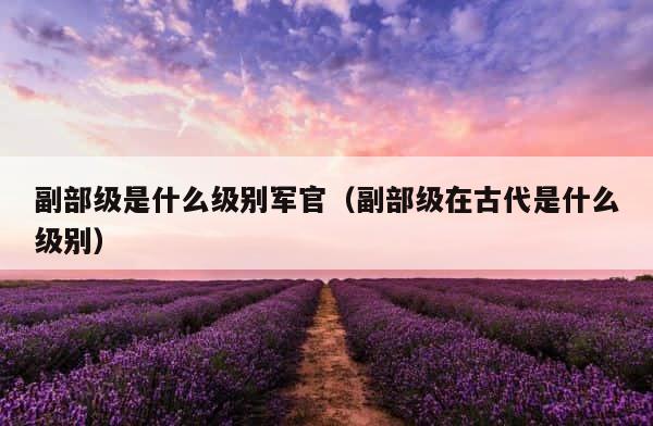 副部级是什么级别军官（副部级在古代是什么级别） 第1张