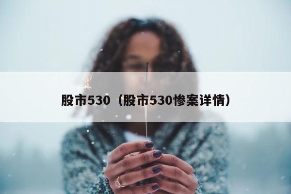 股市530（股市530惨案详情） 第1张