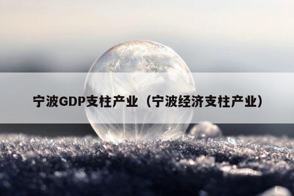 宁波GDP支柱产业（宁波经济支柱产业） 第1张