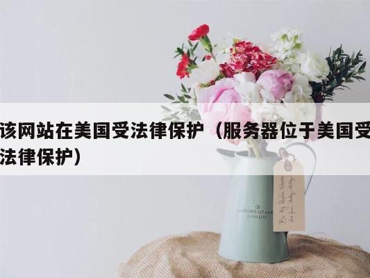 该网站在美国受法律保护（服务器位于美国受法律保护） 第1张