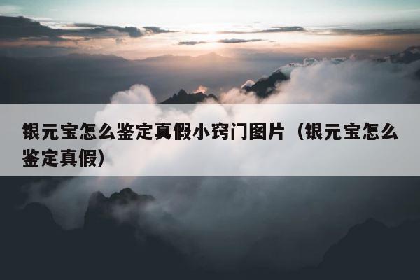 银元宝怎么鉴定真假小窍门图片（银元宝怎么鉴定真假） 第1张