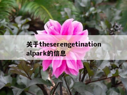 关于theserengetinationalpark的信息 第1张