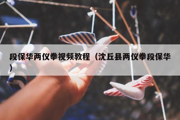 段保华两仪拳视频教程（沈丘县两仪拳段保华） 第1张