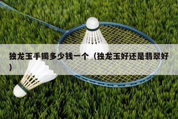 独龙玉手镯多少钱一个（独龙玉好还是翡翠好） 第1张