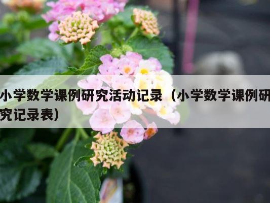 小学数学课例研究活动记录（小学数学课例研究记录表） 第1张