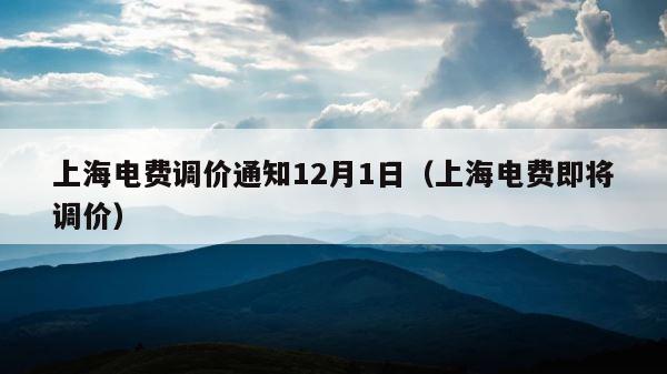 上海电费调价通知12月1日（上海电费即将调价） 第1张