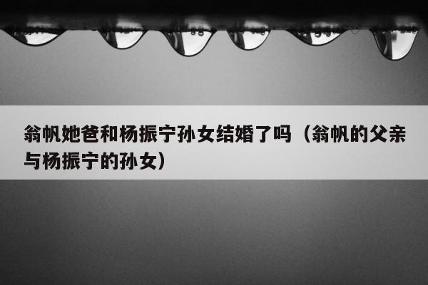 翁帆她爸和杨振宁孙女结婚了吗（翁帆的父亲与杨振宁的孙女） 第1张