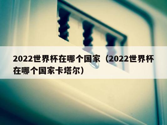 2022世界杯在哪个国家（2022世界杯在哪个国家卡塔尔） 第1张