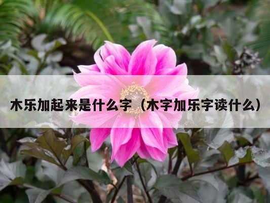 木乐加起来是什么字（木字加乐字读什么） 第1张